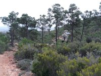 2018-11-12 14.45.14 (Grand)